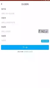 掌上新大
