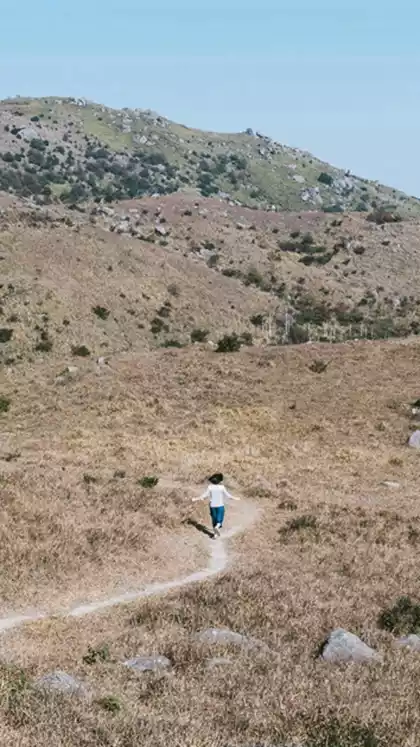 草木影视在线视频免费观看高清版