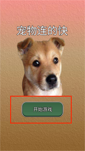 宠物连的快