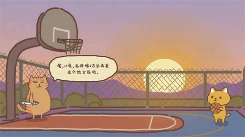 动物的篮球
