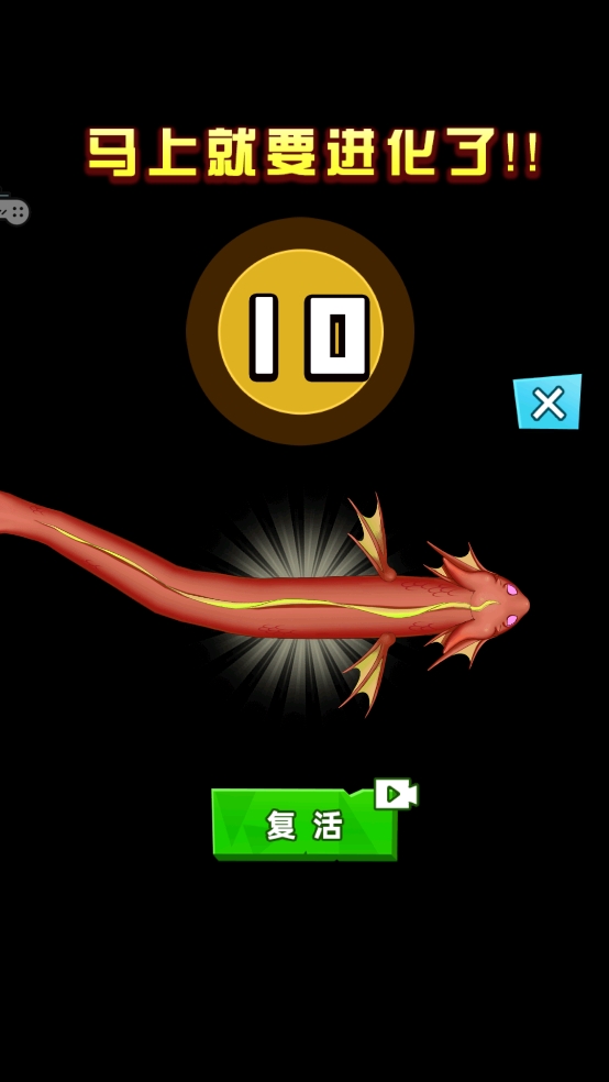 鱼类生存