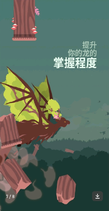 飞龙