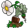 植物大战僵尸重植版(lzscpvz) 2.0