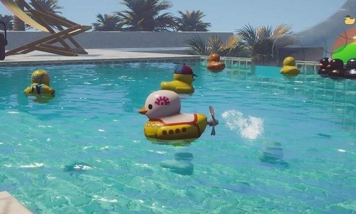 小黄鸭模拟器(官方正版)