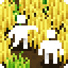 小小露台 0.90.673.7387