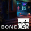 骨骼实验室手机版(Bone Lab) 1.4