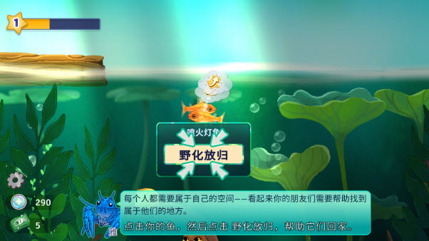 池趣养鱼