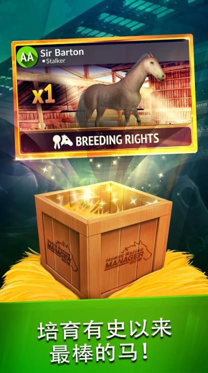 2025年度赛马经理