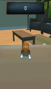 萌狗日记