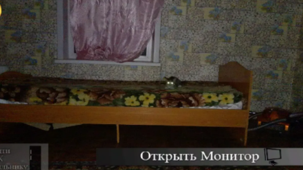 刺猬的五夜后宫