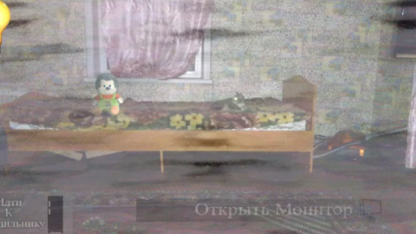 刺猬的五夜后宫