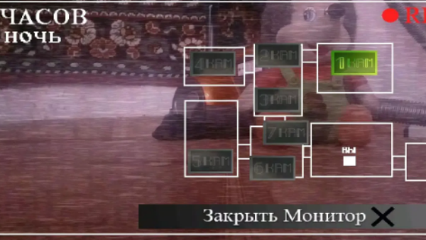 刺猬的五夜后宫