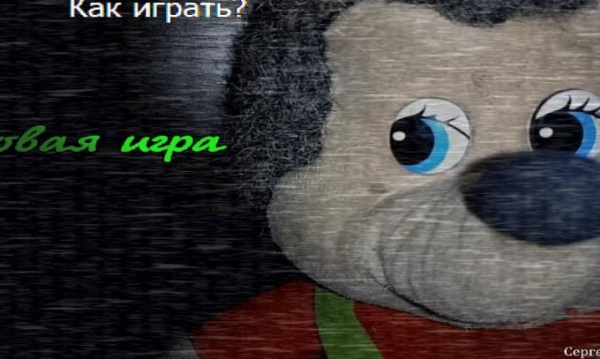 刺猬的五夜后宫