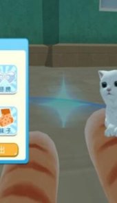 一手猫世界奶奶