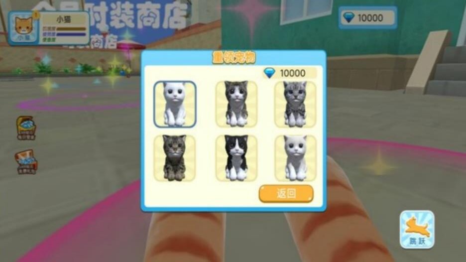 一手猫世界奶奶