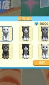 一手猫世界奶奶