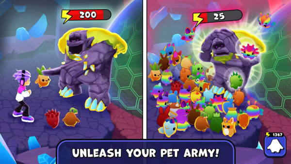 宠物冒险动物大师