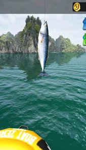 不要摸鱼