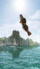 不要摸鱼