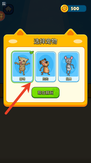 贴心猫咪