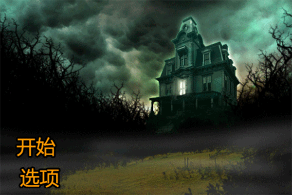 恐怖庄园的秘密(中文版)