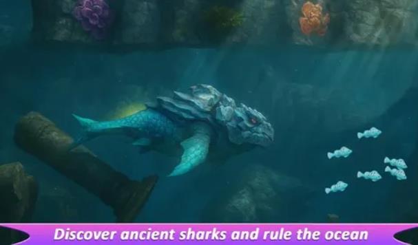 鲨鱼进化进食与生存