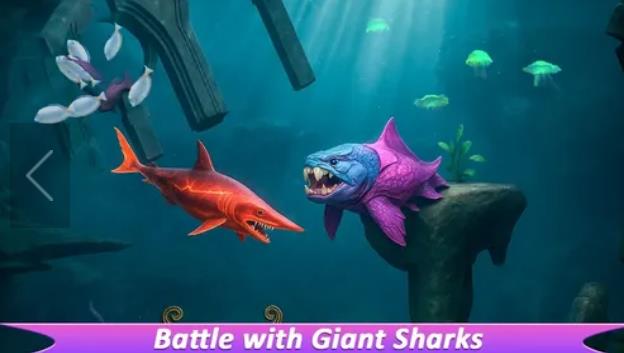 鲨鱼进化进食与生存