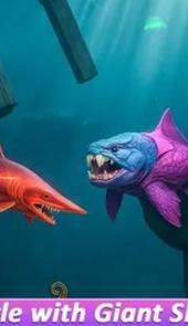 鲨鱼进化进食与生存