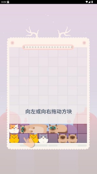 土耳其猫咪消除