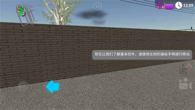 道路驾驶员